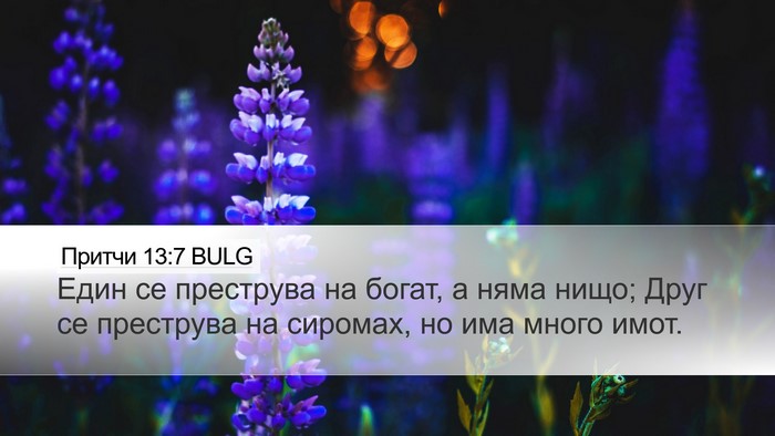 Притчи 13:7 BULG Bible Verse Image