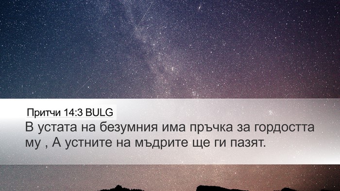 Притчи 14:3 BULG Desktop Wallpaper - В устата на безумния има - Desktop Bible Verse Wallpaper