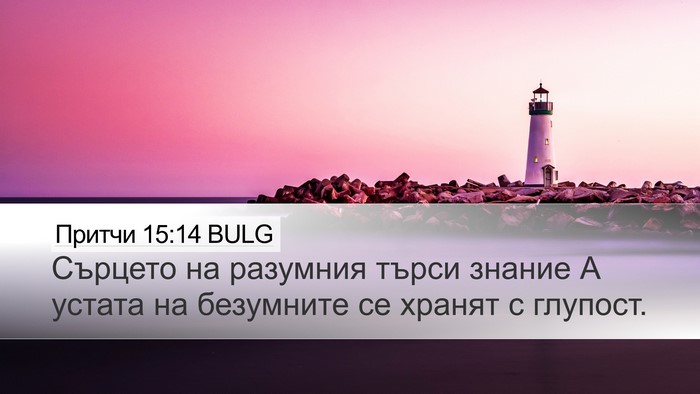 Притчи 15:14 BULG Bible Verse Image