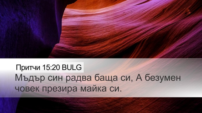 Притчи 15:20 BULG Bible Verse Image