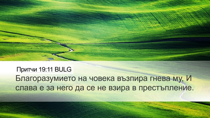 Притчи 19:11 BULG Desktop Wallpaper - Благоразумието на човека - Desktop Bible Verse Wallpaper
