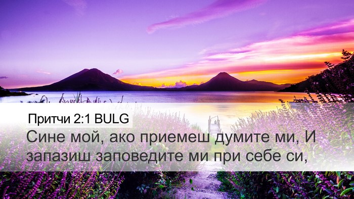 Притчи 2:1 BULG Bible Verse Image