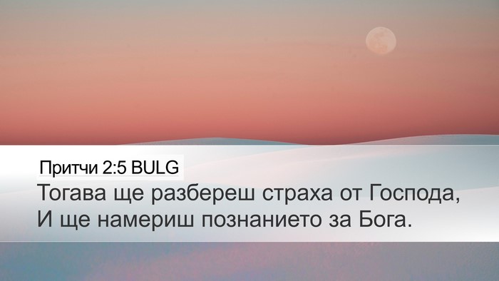 Притчи 2:5 BULG Bible Verse Image