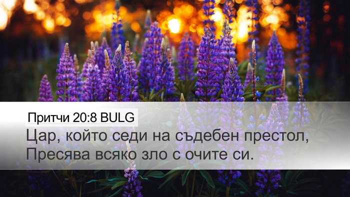 Притчи 20:8 BULG Bible Verse Image