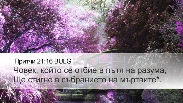 Притчи 21:16 BULG Bible Verse Image