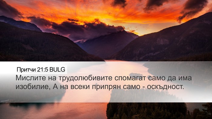 Притчи 21:5 BULG Bible Verse Image