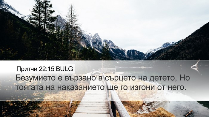 Притчи 22:15 BULG Bible Verse Image