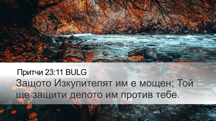 Притчи 23:11 BULG Desktop Wallpaper - Защото Изкупителят им е - Desktop Bible Verse Wallpaper