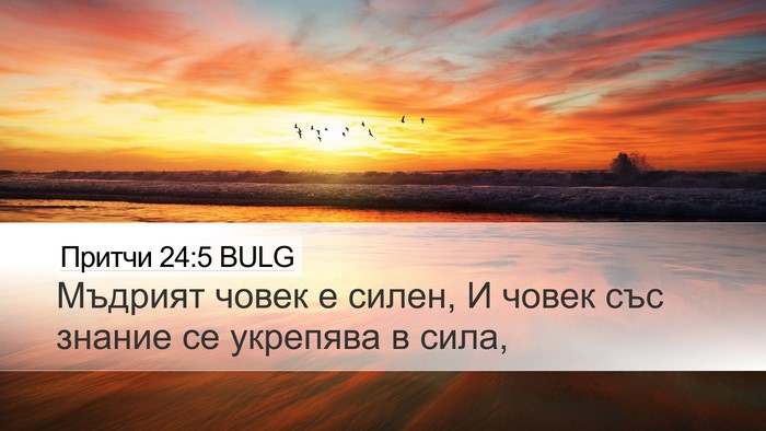 Притчи 24:5 BULG Bible Verse Image