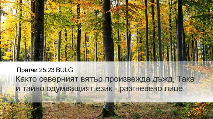 Притчи 25:23 BULG Bible Verse Image