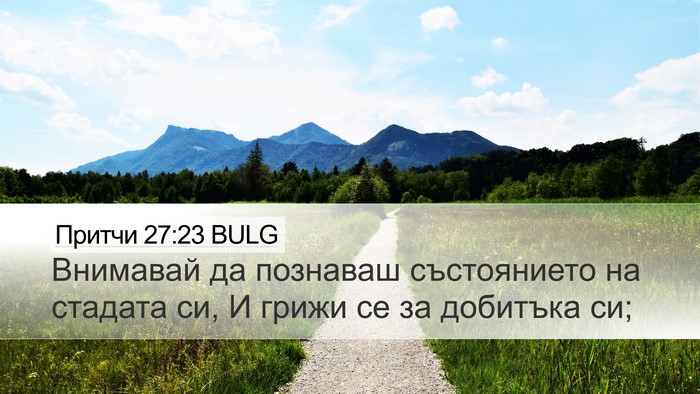 Притчи 27:23 BULG Bible Verse Image