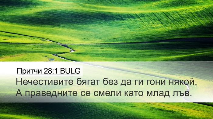 Притчи 28:1 BULG Bible Verse Image
