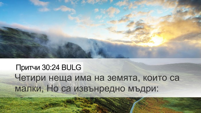 Притчи 30:24 BULG Bible Verse Image