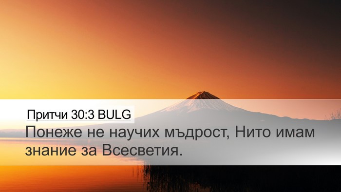 Притчи 30:3 BULG Bible Verse Image