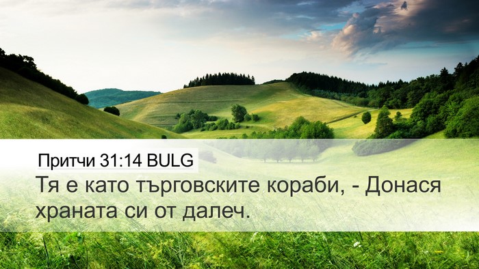 Притчи 31:14 BULG Desktop Wallpaper - Тя е като търговските - Desktop Bible Verse Wallpaper