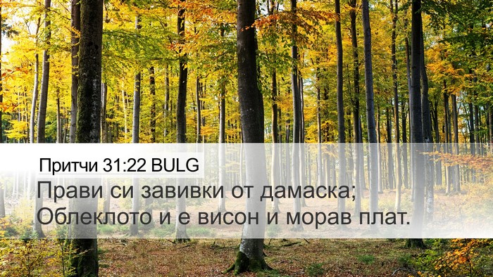 Притчи 31:22 BULG Bible Verse Image