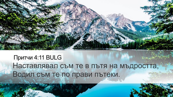 Притчи 4:11 BULG Bible Verse Image