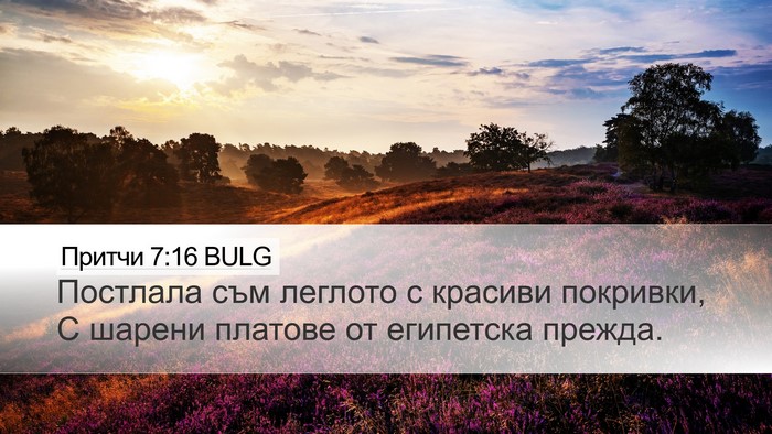 Притчи 7:16 BULG Desktop Wallpaper - Постлала съм леглото с - Desktop Bible Verse Wallpaper