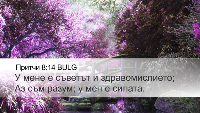 Притчи 8:14 BULG Bible Verse Image
