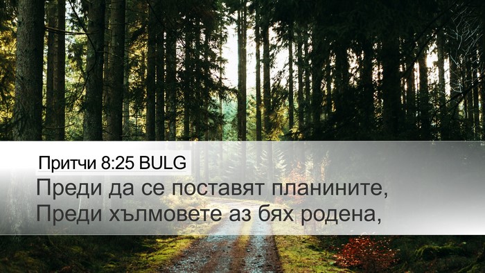 Притчи 8:25 BULG Bible Verse Image