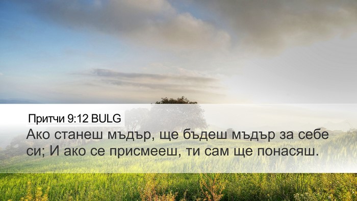 Притчи 9:12 BULG Bible Verse Image