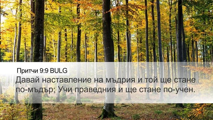 Притчи 9:9 BULG Bible Verse Image