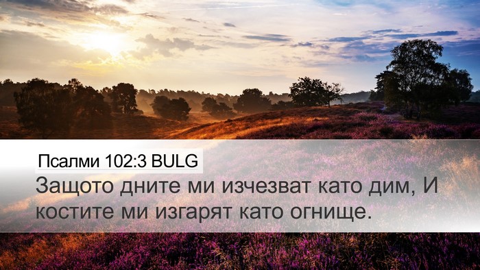 Псалми 102:3 BULG Desktop Wallpaper - Защото дните ми изчезват - Desktop Bible Verse Wallpaper