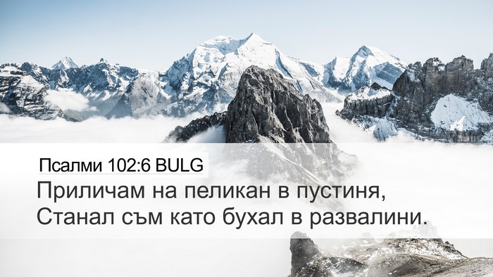 Псалми 102:6 BULG Desktop Wallpaper - Приличам на пеликан в - Desktop Bible Verse Wallpaper
