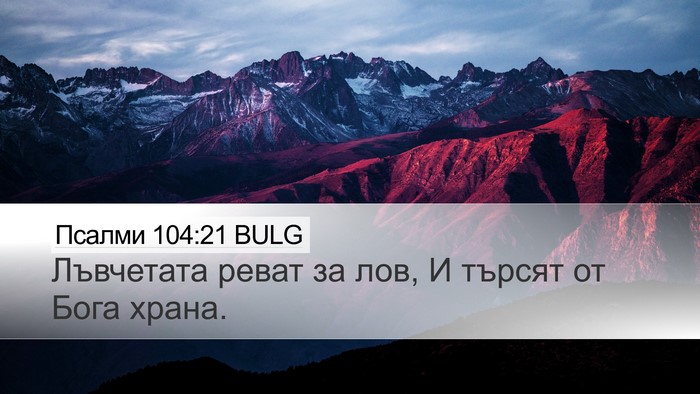 Псалми 104:21 BULG Bible Verse Image