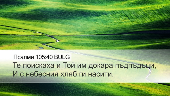 Псалми 105:40 BULG Bible Verse Image