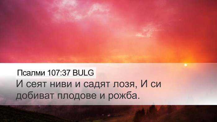 Псалми 107:37 BULG Bible Verse Image