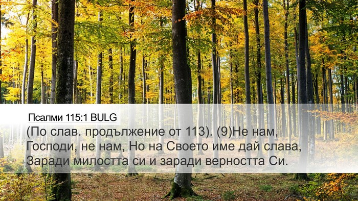Псалми 115:1 BULG Bible Verse Image