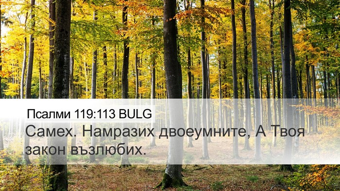 Псалми 119:113 BULG Desktop Wallpaper - Самех. Намразих - Desktop Bible Verse Wallpaper