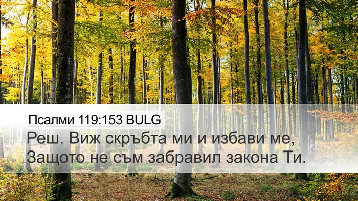 Псалми 119:153 BULG Bible Verse Image