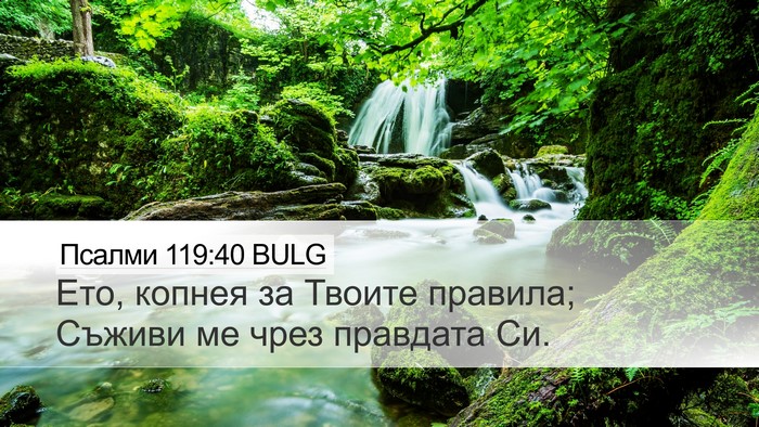 Псалми 119:40 BULG Bible Verse Image