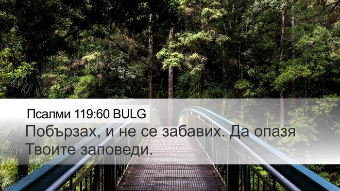 Псалми 119:60 BULG Bible Verse Image