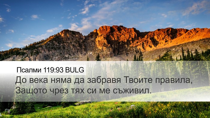 Псалми 119:93 BULG Bible Verse Image