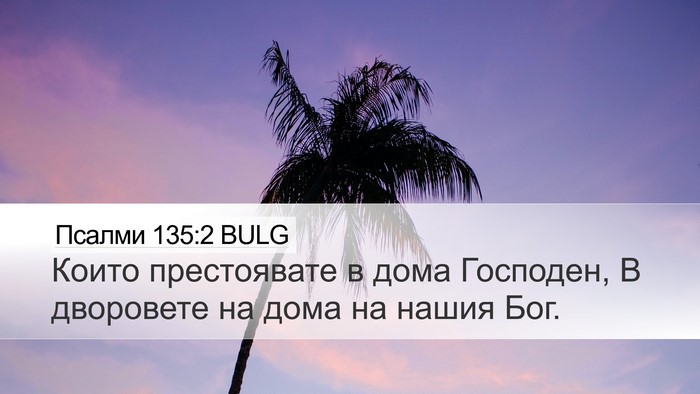 Псалми 135:2 BULG Desktop Wallpaper - Които престоявате в дома - Desktop Bible Verse Wallpaper