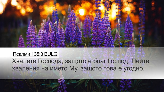 Псалми 135:3 BULG Desktop Wallpaper - Хвалете Господа, защото е - Desktop Bible Verse Wallpaper