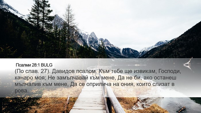 Псалми 28:1 BULG Bible Verse Image