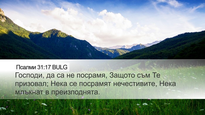 Псалми 31:17 BULG Bible Verse Image