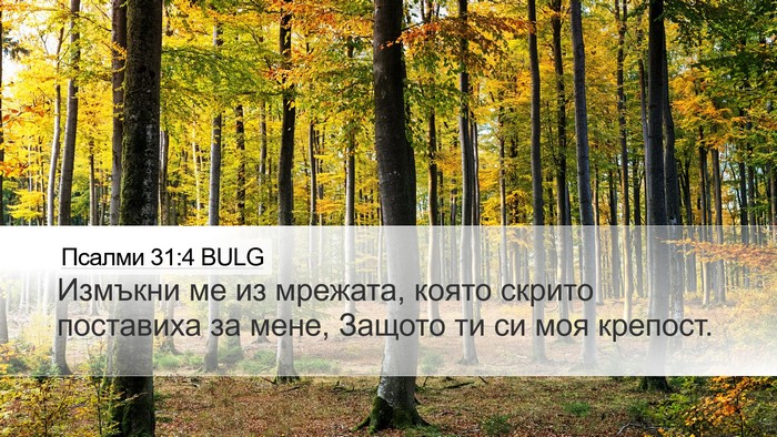 Псалми 31:4 BULG Bible Verse Image