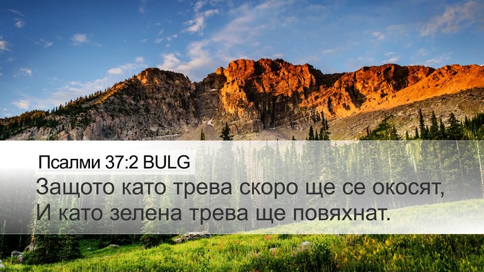 Псалми 37:2 BULG Bible Verse Image