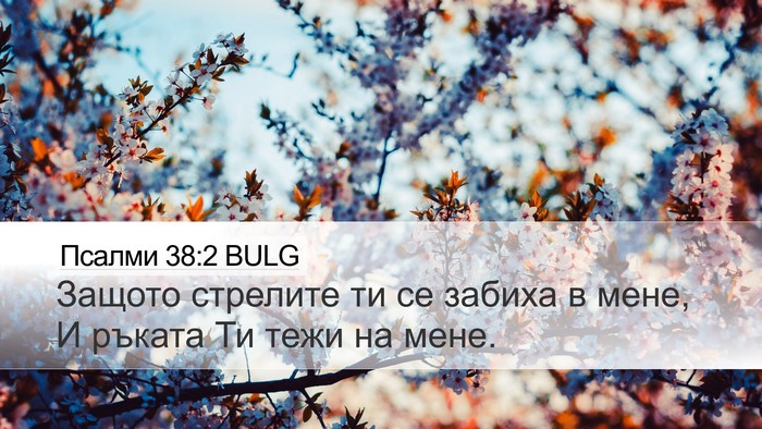 Псалми 38:2 BULG Bible Verse Image