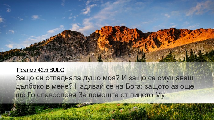 Псалми 42:5 BULG Bible Verse Image