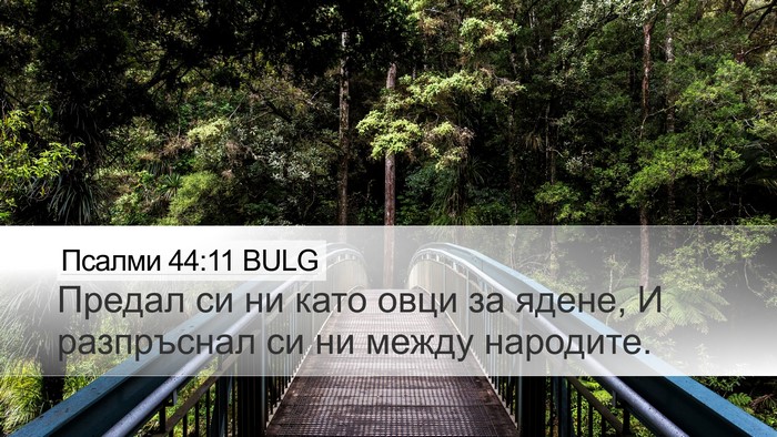 Псалми 44:11 BULG Bible Verse Image