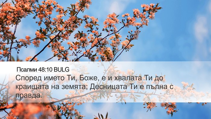 Псалми 48:10 BULG Bible Verse Image
