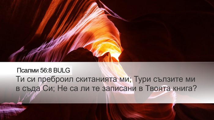 Псалми 56:8 BULG Bible Verse Image