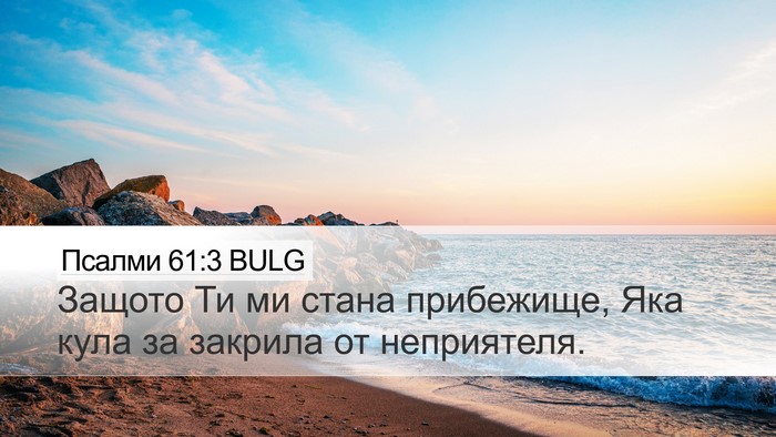 Псалми 61:3 BULG Bible Verse Image