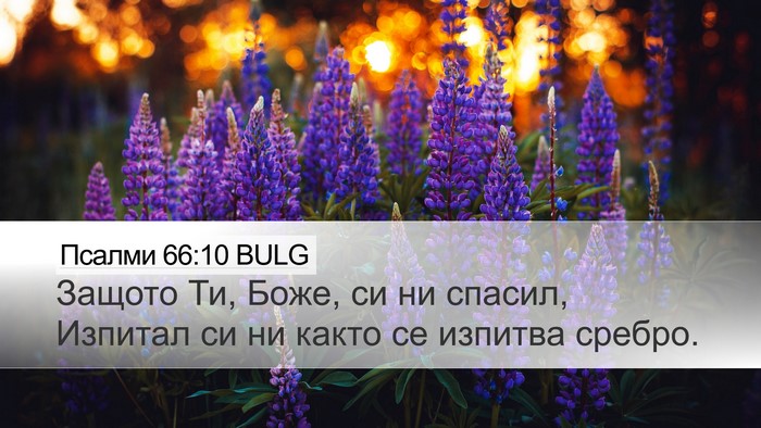 Псалми 66:10 BULG Bible Verse Image